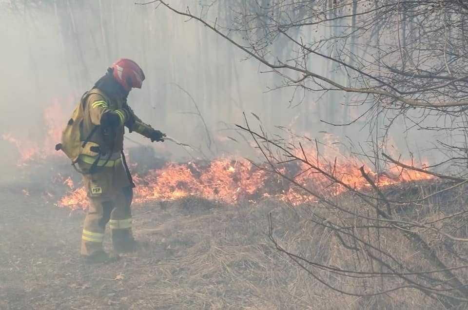 3ha spalone w pożarze w piekarach