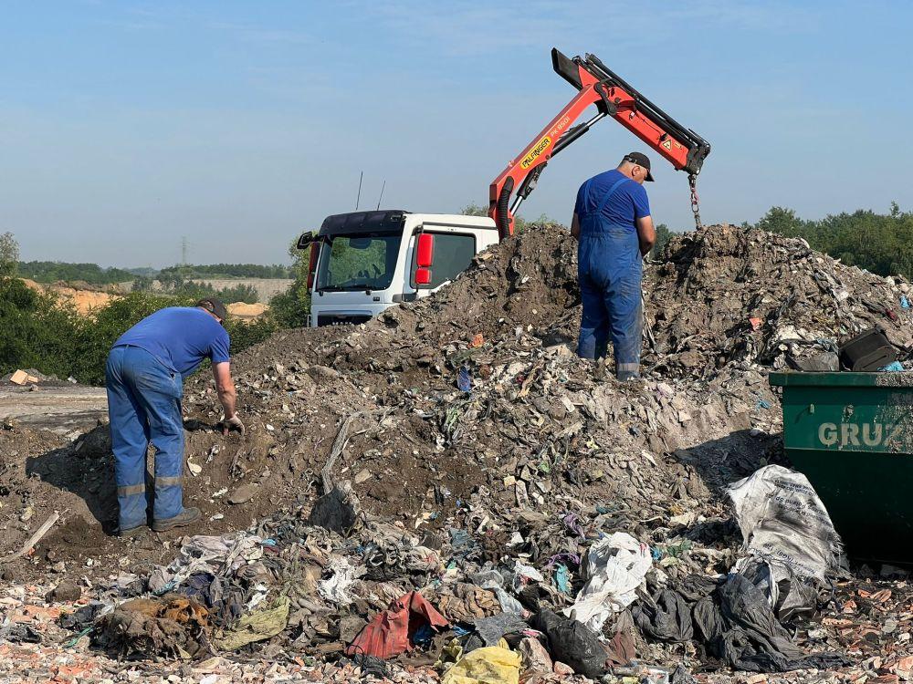 Afera śmieciowa w Piekarachj