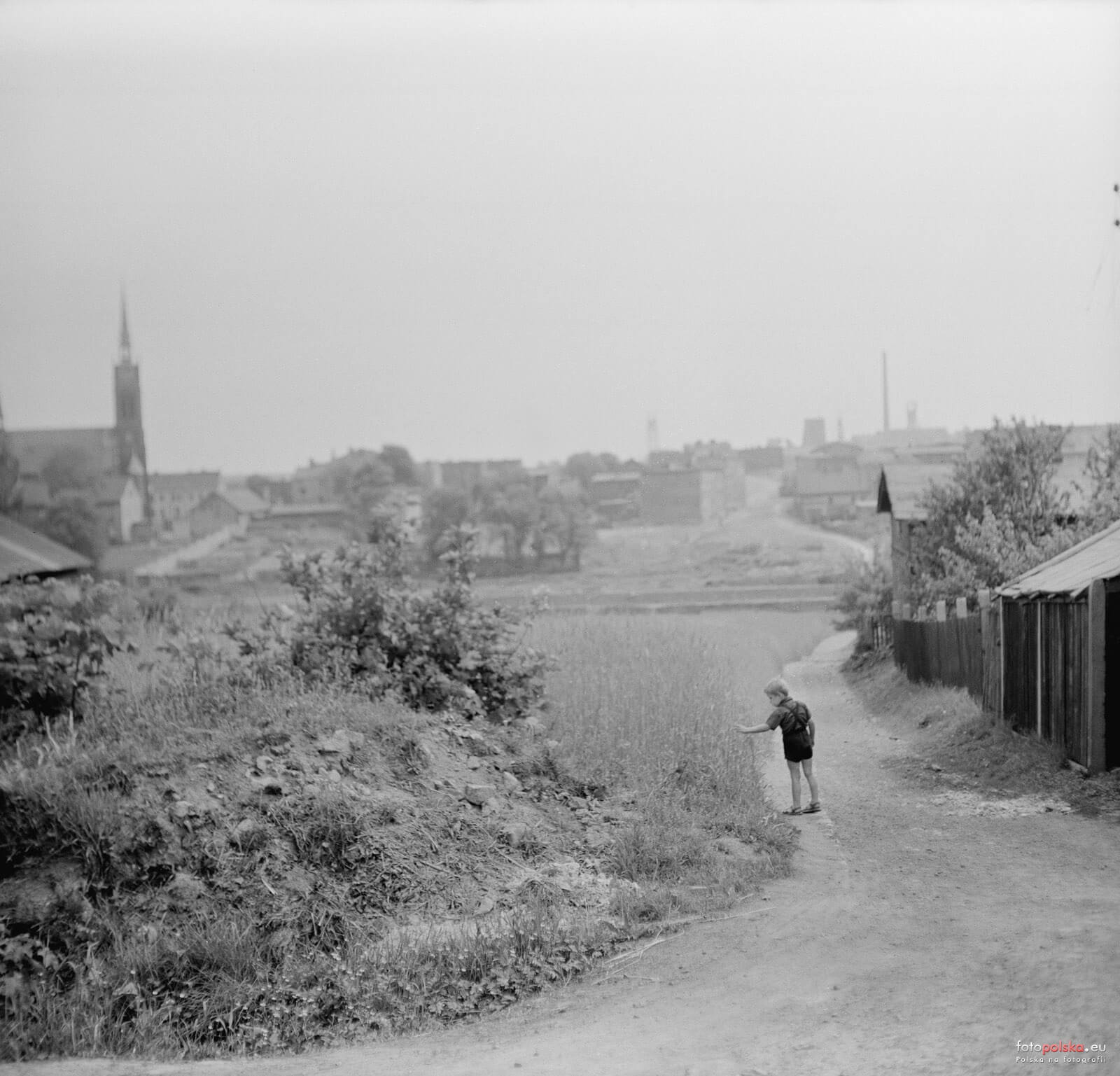 Dzielnica Kamien 1473495 Fotopolska Eu