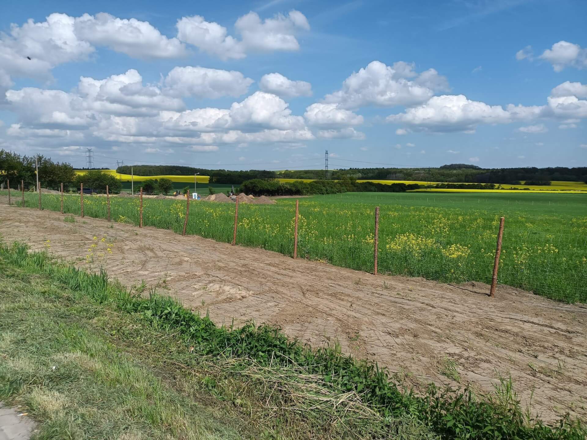 Nowe osiedle powstaje w Piekarach