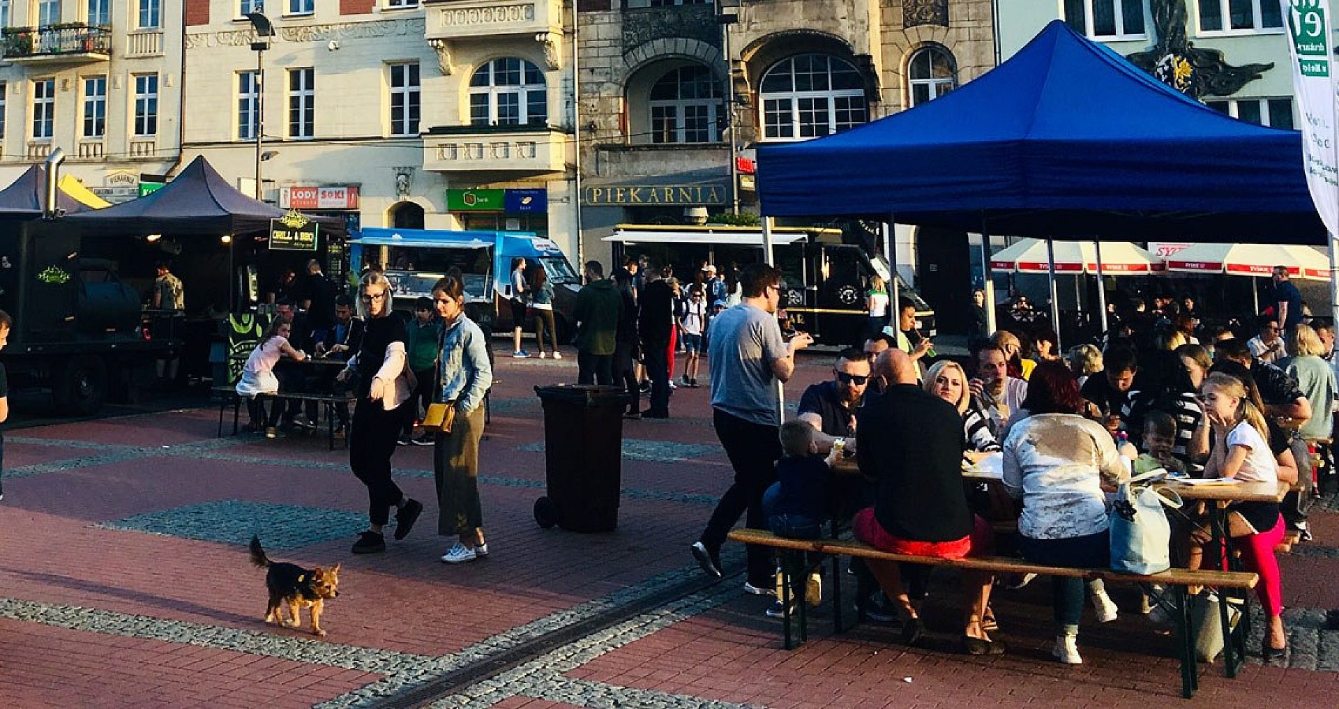 Foodtrucki na rynku Foodtrucki na rynku