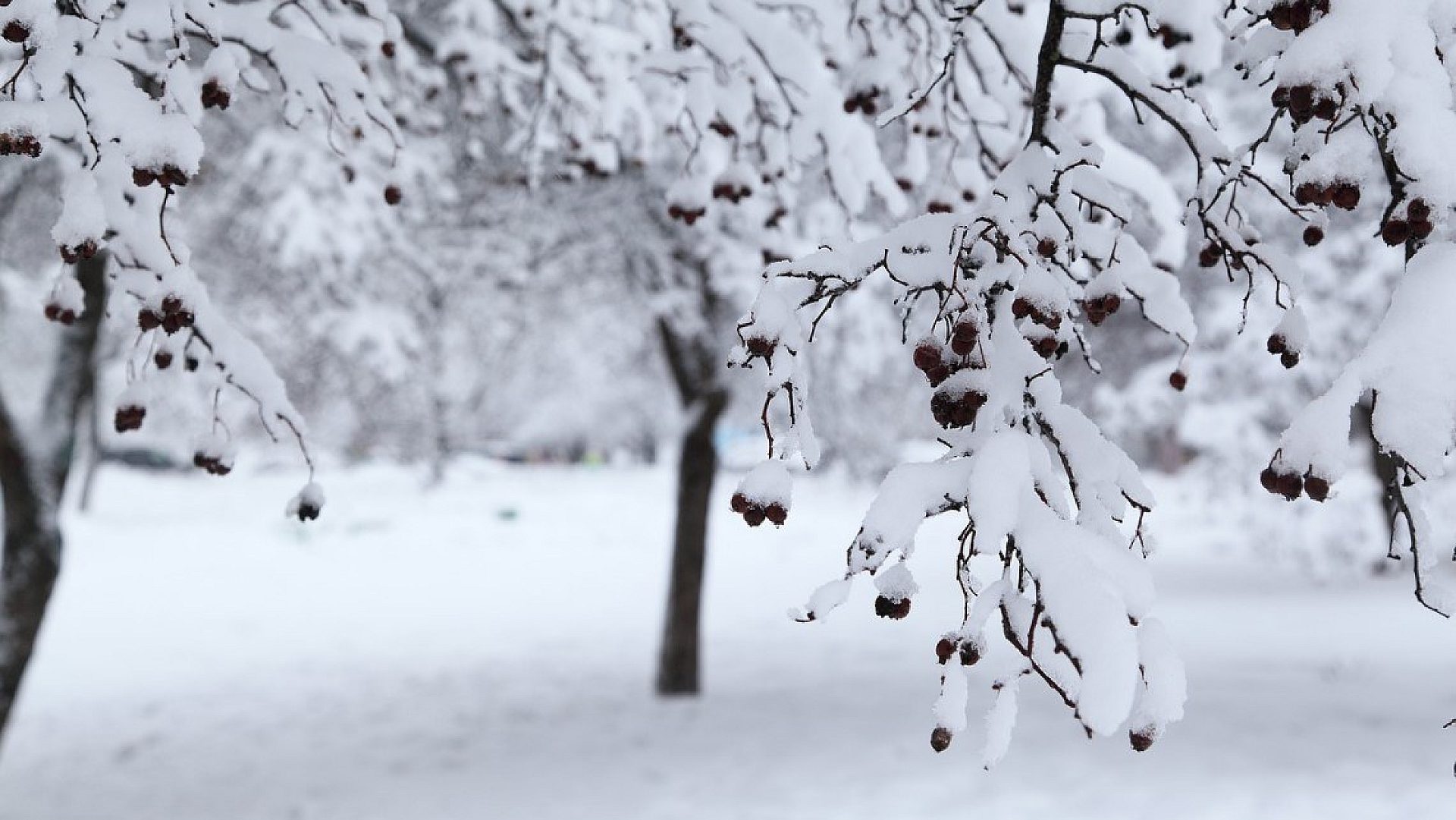 Powrot zimy Powrot zimy