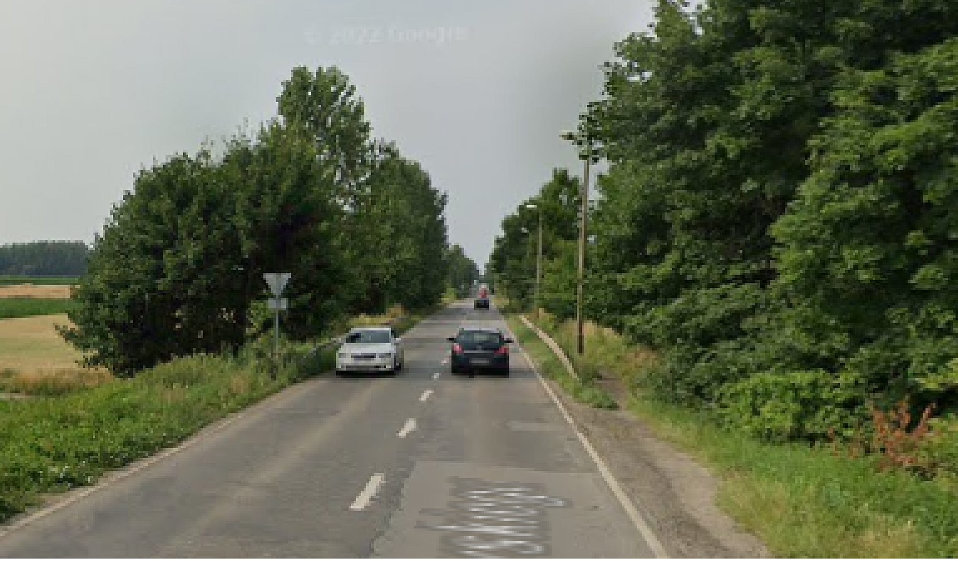 Zdarzenie z udziałem warchlaków Zdarzenie z udziałem warchlaków