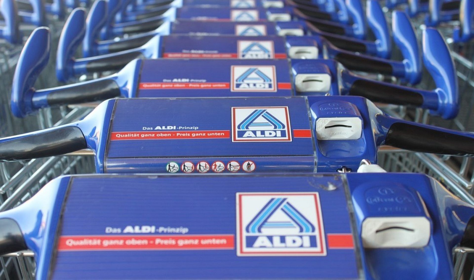 Aldii Aldii