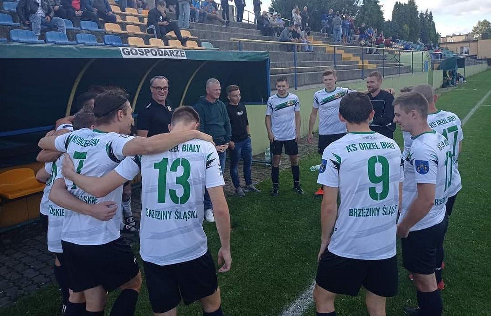 Orzel bialy brzeziny slaskie Orzel bialy brzeziny slaskie