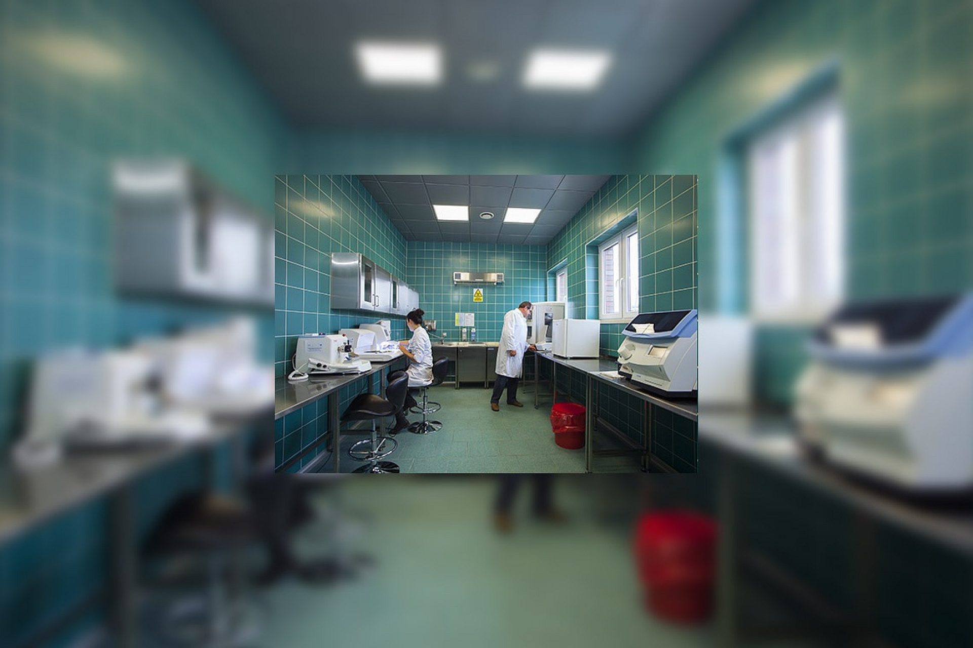 Slaskiecentrumedycynysadowejwewnatrz2 Slaskiecentrumedycynysadowejwewnatrz2