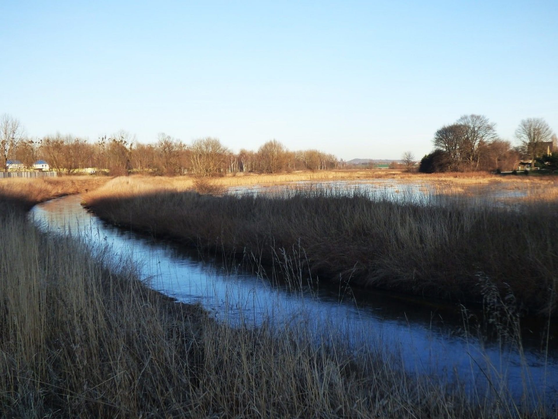 Brzegi Brynicy zostaną wysprzątane Brzegi Brynicy zostaną wysprzątane