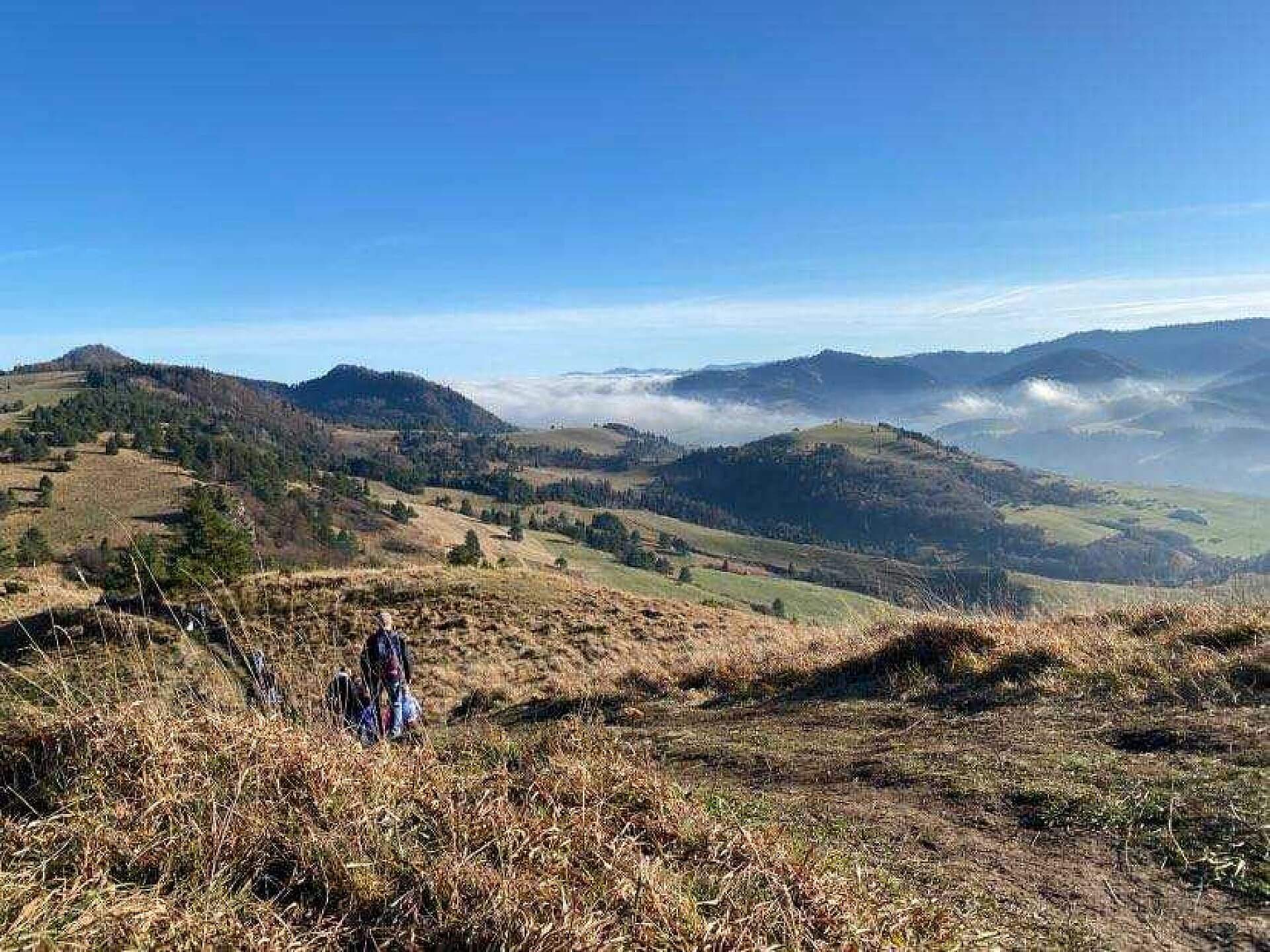 Pieniny. Szlak z Wysokiej Pieniny. Szlak z Wysokiej