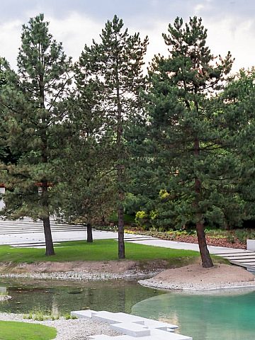 Ogród Japoński, Park Śląski Ogród Japoński, Park Śląski