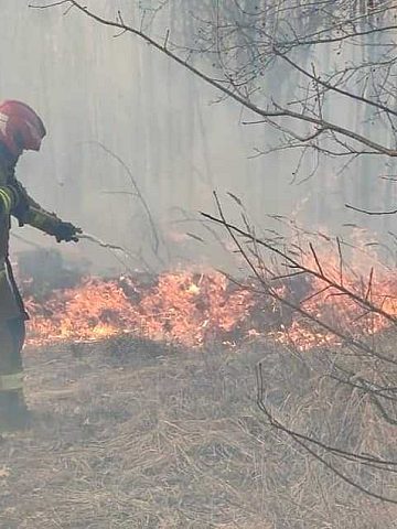 3ha spalone w pożarze w piekarach 3ha spalone w pożarze w piekarach