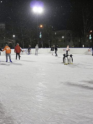Lodowisko w Piekarach Śląskich Lodowisko w Piekarach Śląskich