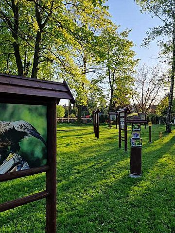 Ogródki ROD Piekary inwestycja Ogródki ROD Piekary inwestycja