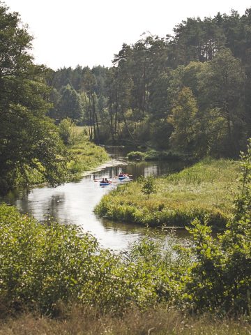 Bory Tucholskie Bory Tucholskie