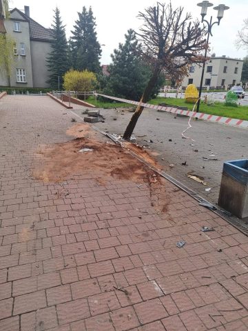 Drzewo po wypadku Drzewo po wypadku