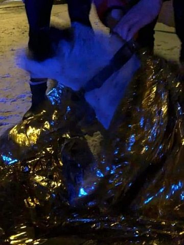 M 147520375 278920440236485 7437559518340070899 n M 147520375 278920440236485 7437559518340070899 n