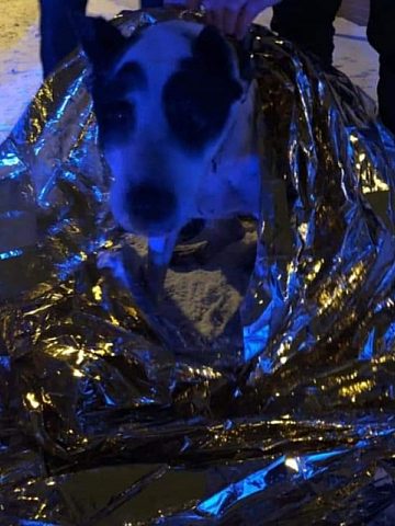 M 147621149 3888495851218237 8798410571700631305 n11 M 147621149 3888495851218237 8798410571700631305 n11