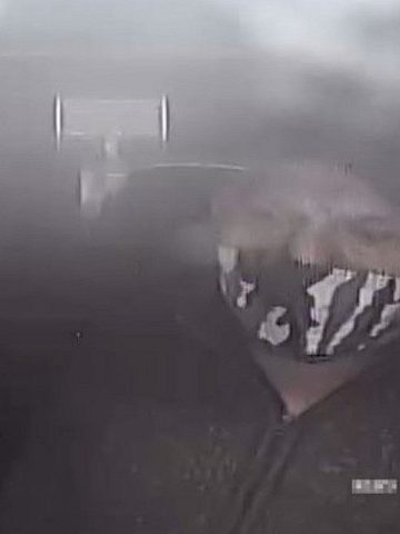 M m 53 645175 g M m 53 645175 g