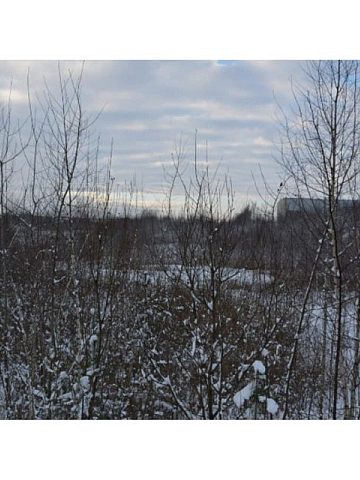 Morderstwo Morderstwo