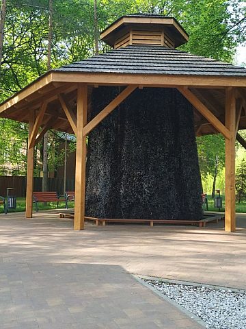 Tężnia solankowa Park Trzech Braci Tężnia solankowa Park Trzech Braci