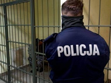 03policja 03policja