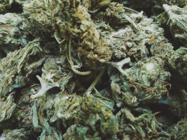 1marihuana 1marihuana