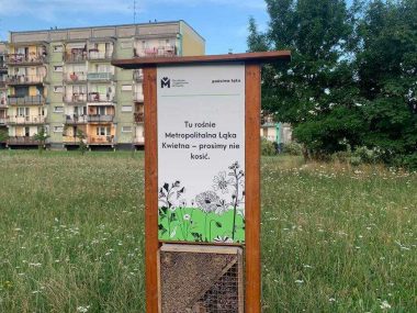 Łąka Kwietna na Wschodzie Łąka Kwietna na Wschodzie