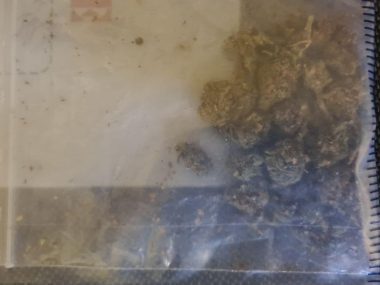 Marihuana Piekary Marihuana Piekary