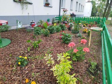 Nowe ogródki piekary Nowe ogródki piekary