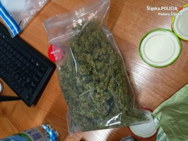 Ponad 100 gramów marihuany w Piekarach Ponad 100 gramów marihuany w Piekarach