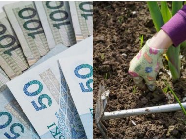 Rozłóż lub odpracuj dług wobec ZGM Rozłóż lub odpracuj dług wobec ZGM