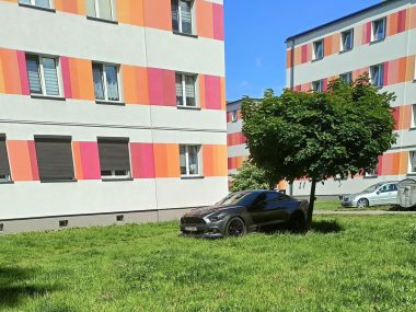 Tajemniczy mustang w Piekarach Wieczorka Tajemniczy mustang w Piekarach Wieczorka