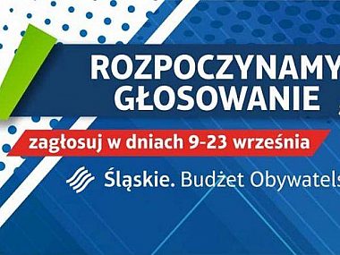 Bo marszalkowski glosowanie Bo marszalkowski glosowanie