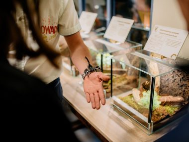 Przyroda na wyciągnięci ręki Przyroda na wyciągnięci ręki