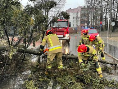Znowu nadciąga silny wiatr. Ostrzeżenie IMGW Straż pożarna usuwa skutki wichury