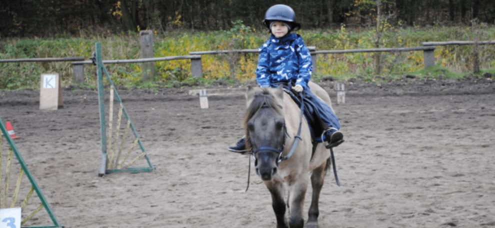 Ośrodek Hipoterapeutyczny Padok