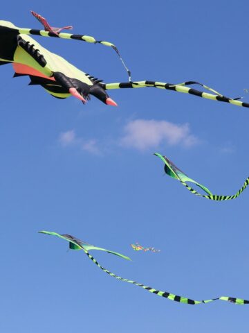 Piknik z latawcem na Kopcu Wyzwolenia Piknik z latawcem na Kopcu Wyzwolenia
