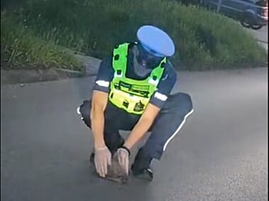 Piekary slaskie policja jez Piekary slaskie policja jez