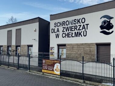 Piekary Śląskie podpisały umowę z nowym schroniskiem Piekary slaskie nowe schronisko dla zwierzat chelmek