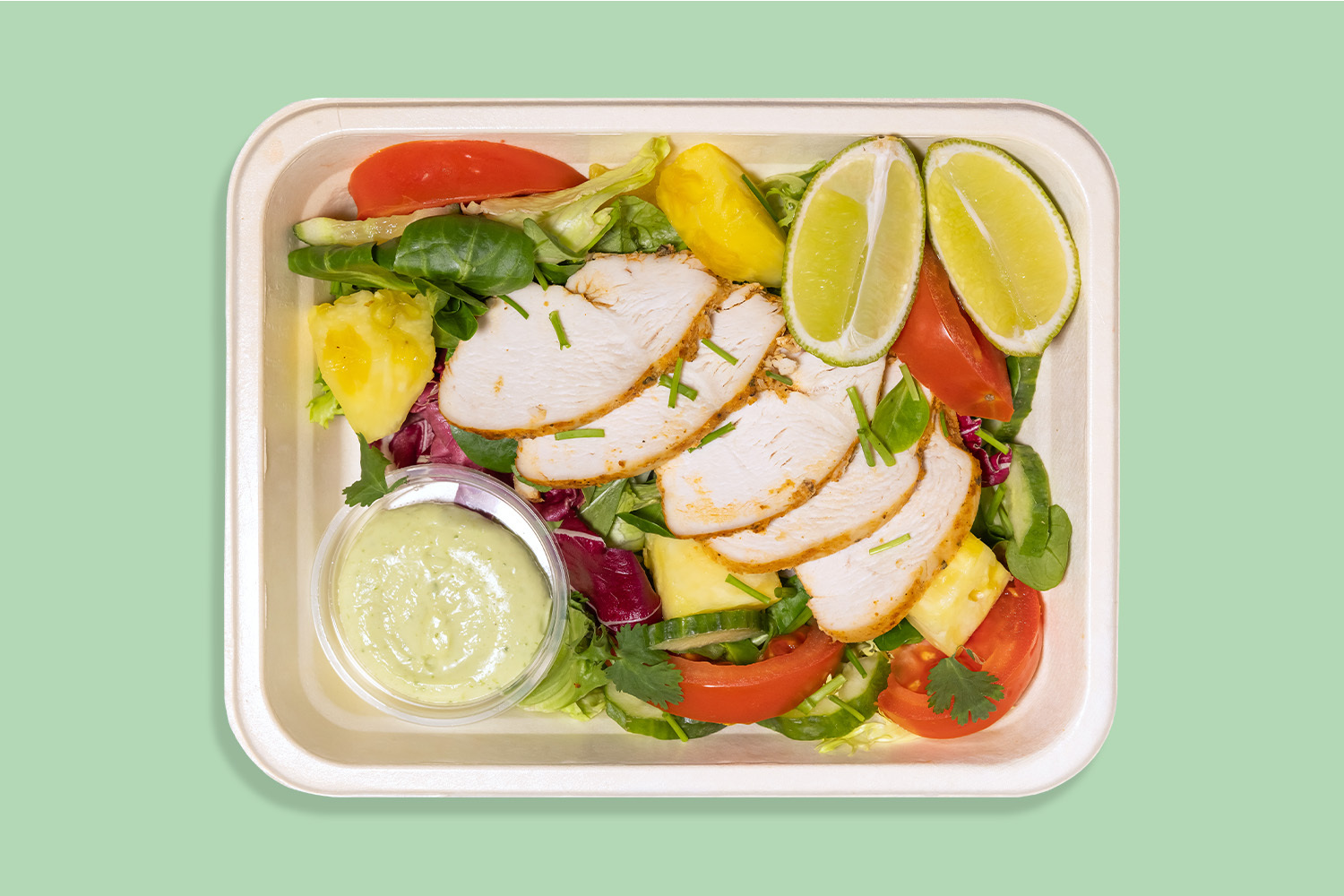 Catering body chief 4