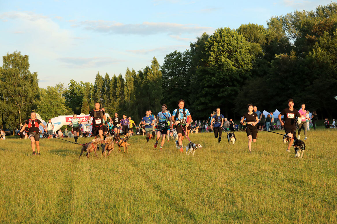 Dogtrekking park slaski 14
