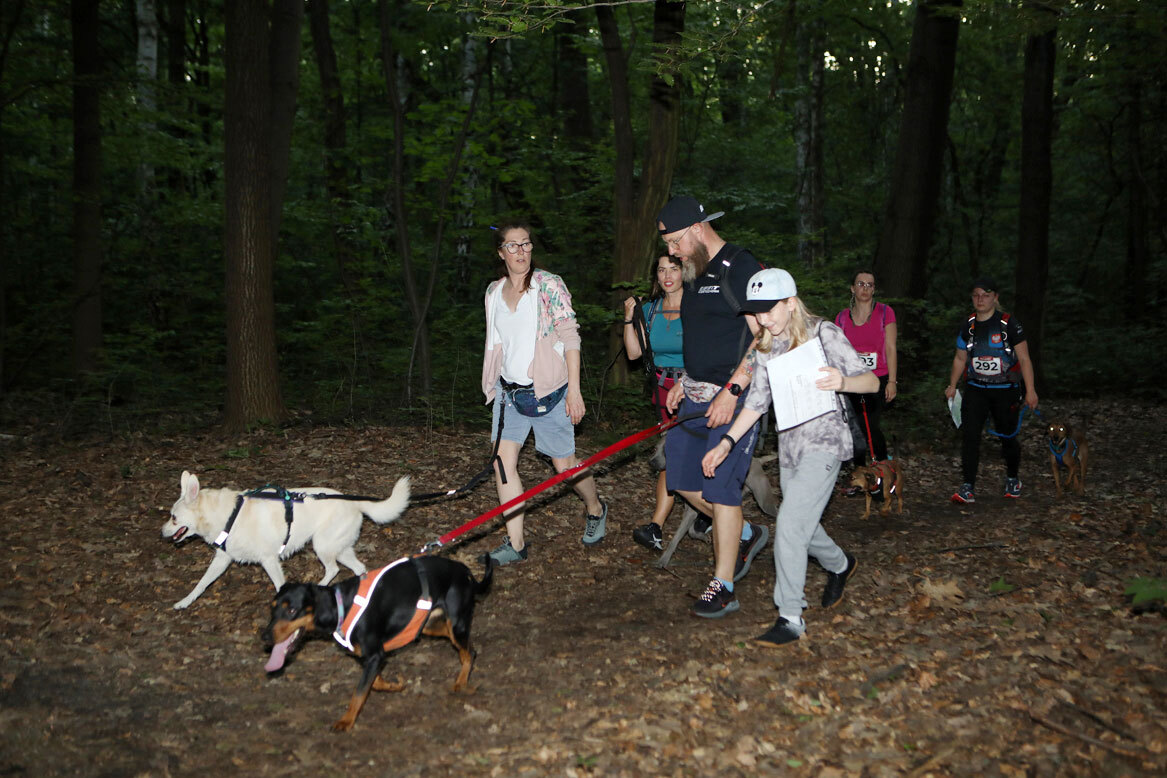 Dogtrekking park slaski 18