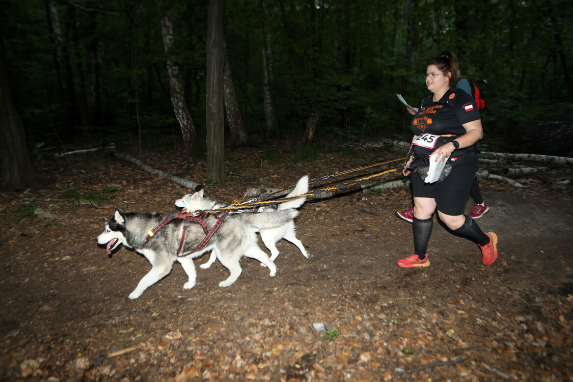 Dogtrekking park slaski 19