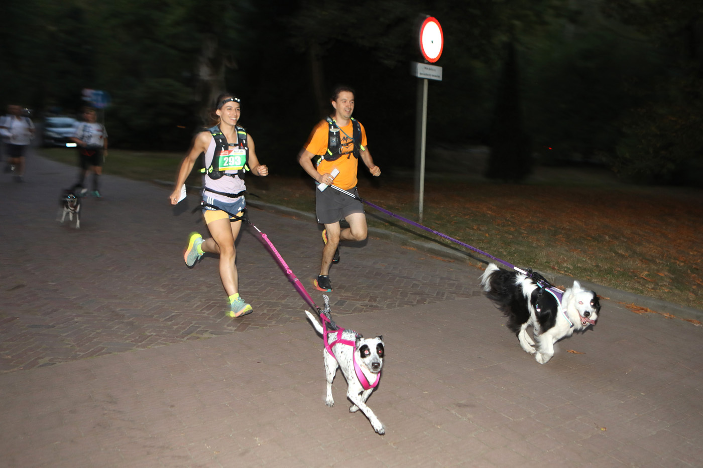 Dogtrekking park slaski 6