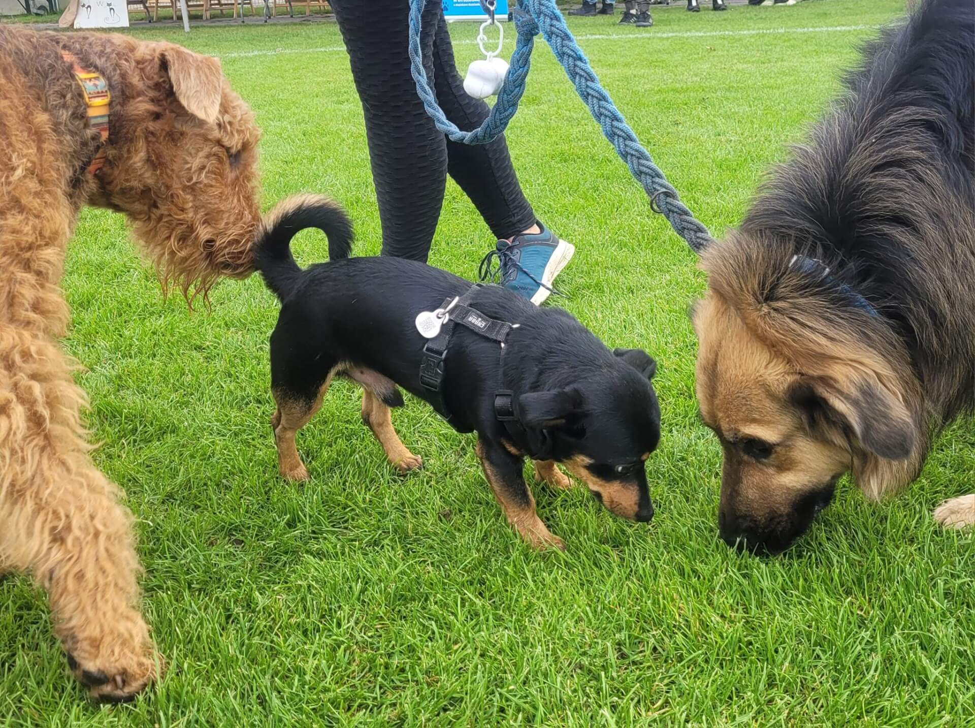 Piekarski Spacer Kundelka