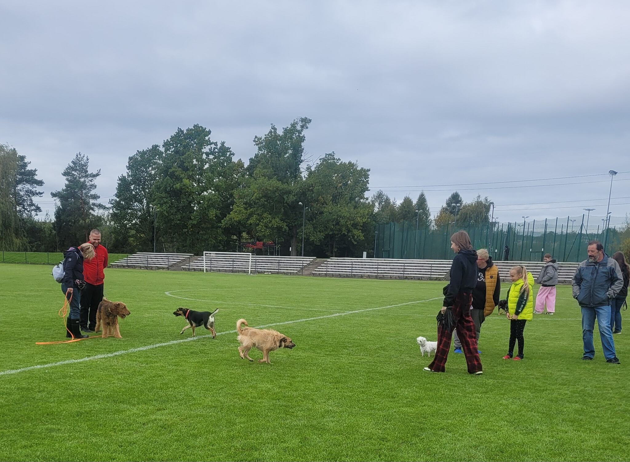 Piekarski Spacer Kundelka