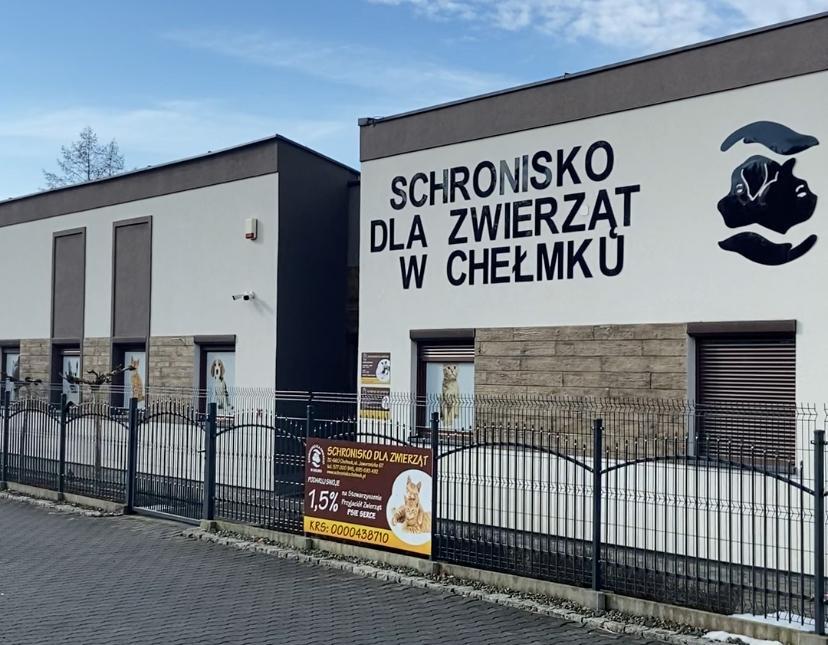 Piekary Śląskie podpisały umowę z nowym schroniskiem. Gdzie teraz będą trafiać bezdomne zwierzęta z terenu miasta?