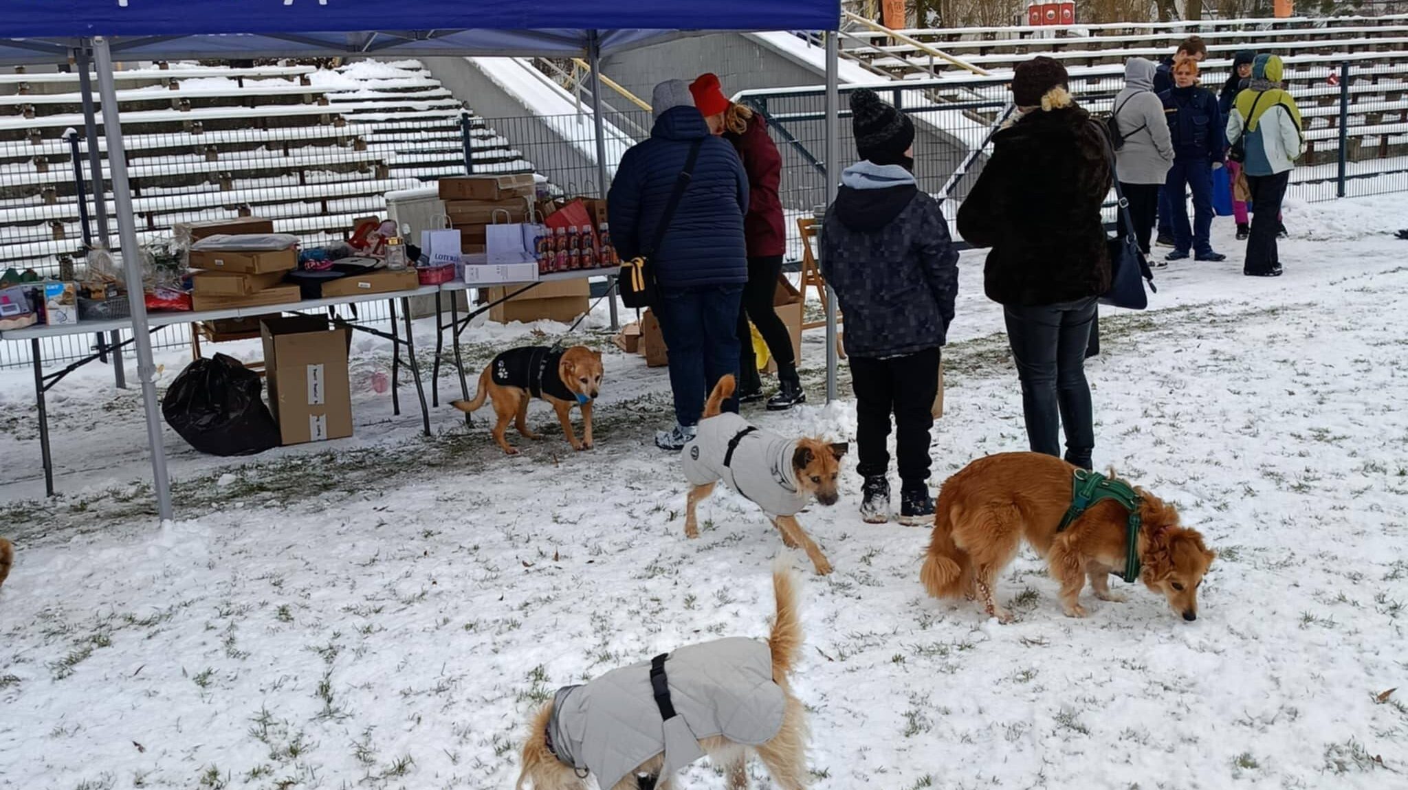 Spacer Kundelka w Piekarach Śląskich
