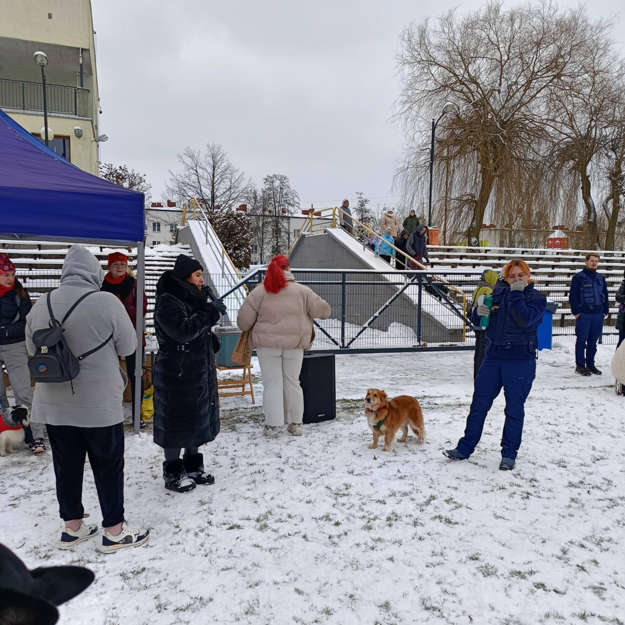 Spacer Kundelka w Piekarach Śląskich