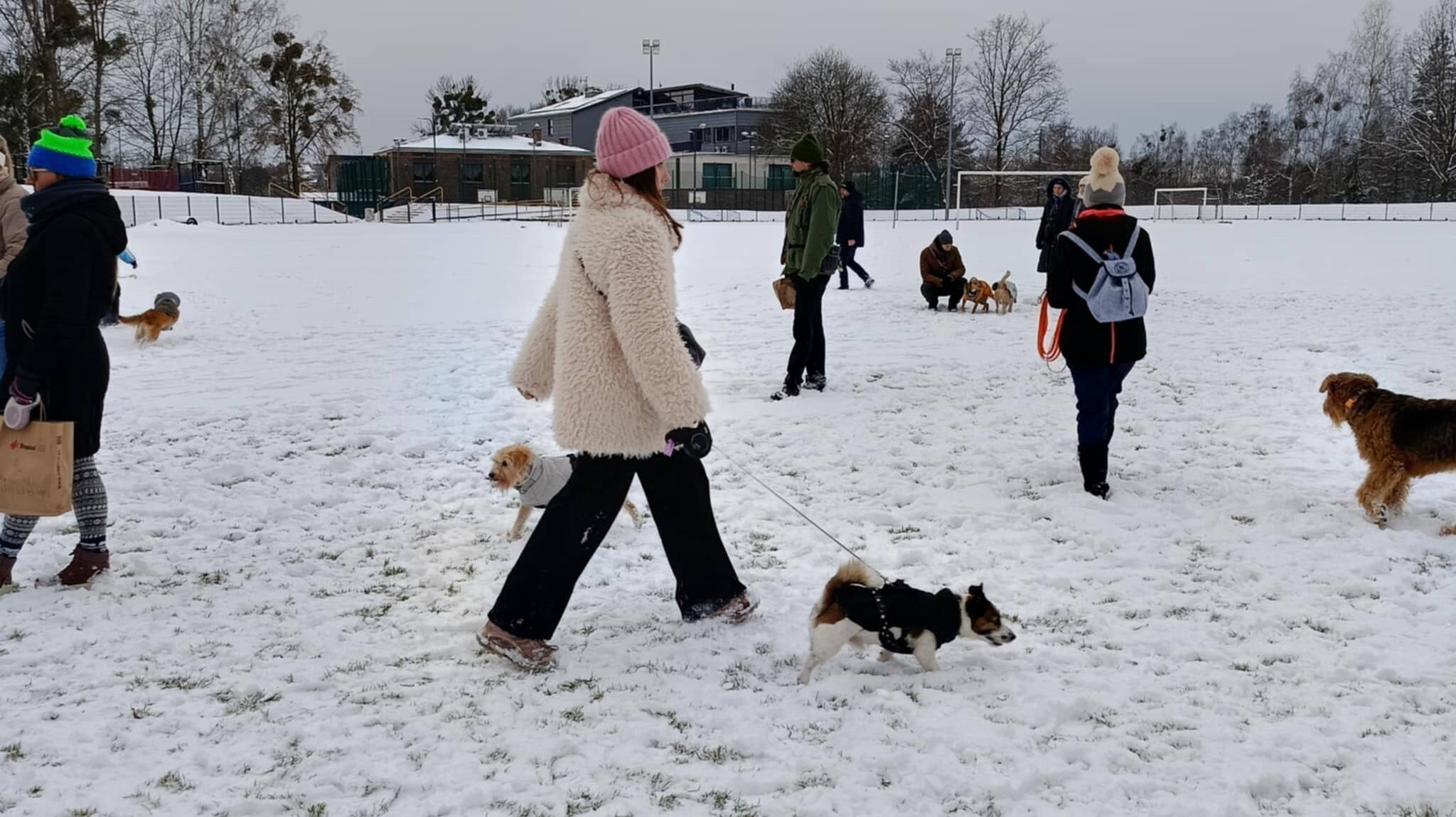 Spacer Kundelka w Piekarach Śląskich